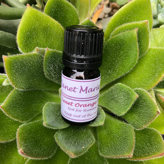 Janet Marie - Essential Oil