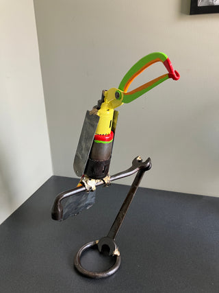 Toucan
