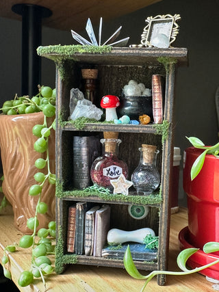 Mini Witch's Curiosity Cabinet