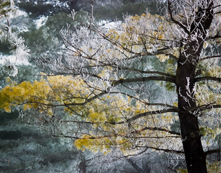 Greeting Card: Frosty Fall Morning