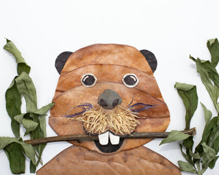 Beaver "Eddie" Nature Art Card