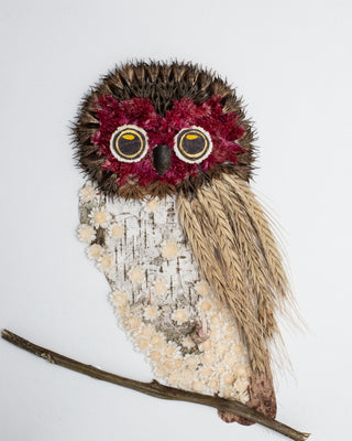 Owl With Pink Face Nature Art Card