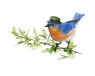 8x10 No08 Bluebird
