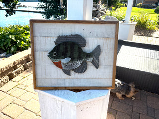 Sunfish Wall hanging  (MD/Back)
