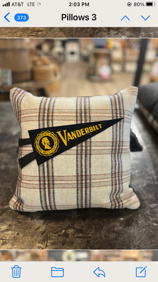 Vanderbilt pennant pillow