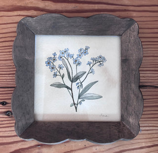 Painting - Forget-me-not