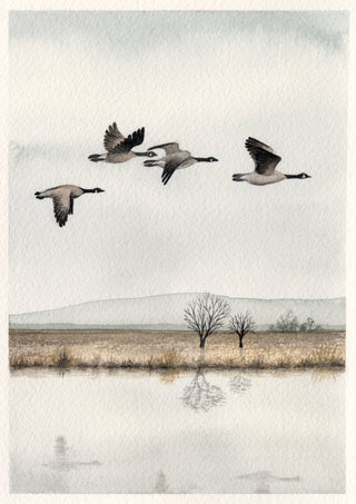 Print - Geese 5x7
