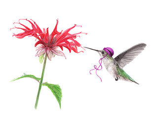 A2 No23 Hummingbird