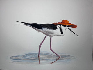 A2 No35 Stilt
