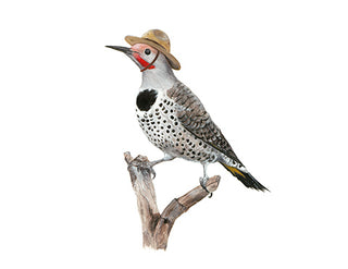 A2 No13 Flicker