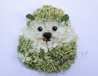 Hedgehog Nature Art Print