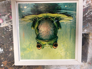 Frog XSF