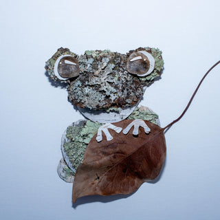 Frog Nature Art Print