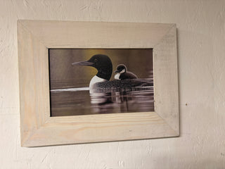 Loon/baby print (MD)
