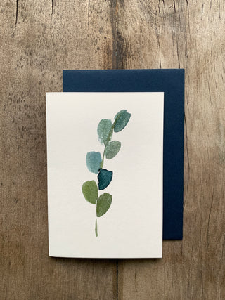 Eucalyptus