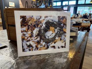 Wall Art: 11x14 Summer Has Flown the Nest