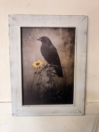 Crow /Daisy XL