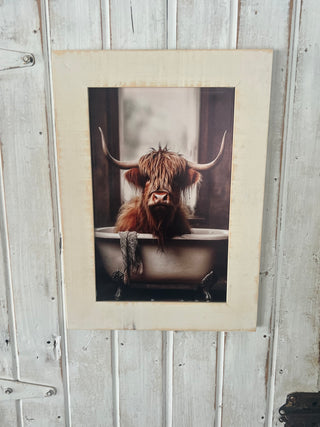 Steer print