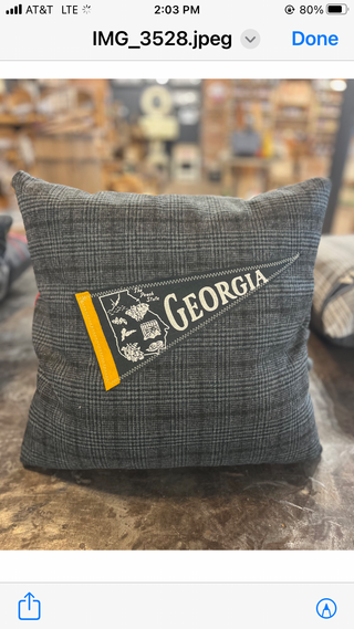 Georgia pennant pillow