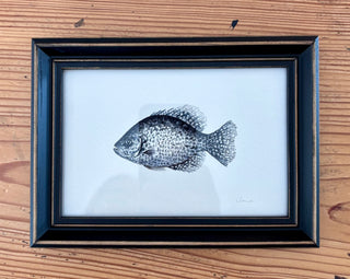 Framed print - Fish, crappie