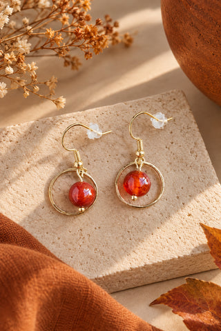 Brown Earrings