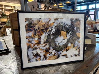 Wall Art: 11x14 Summer Has Flown the Nest Framed