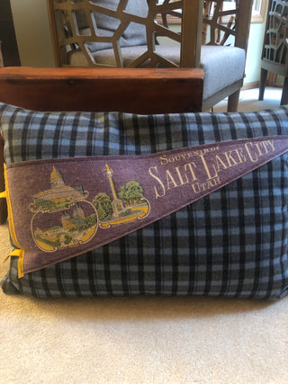 Salt Lake City Pillow