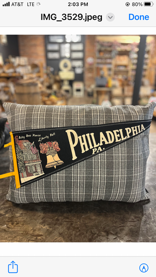 Philadelphia PA pennant pillow