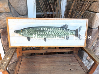 Northern Pike mount