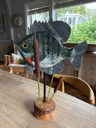 Sunfish on stand