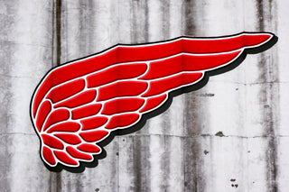 Greeting Card: The Big Red Wing