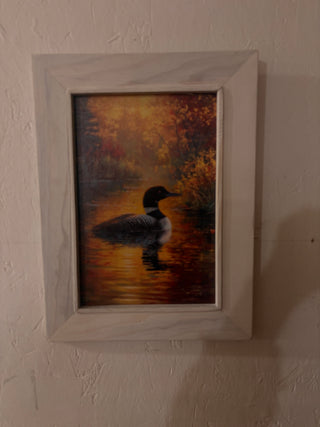 Loon print (SM)