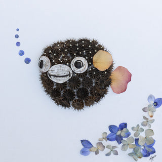 Blow Fish " Hootie" Nature Art Print