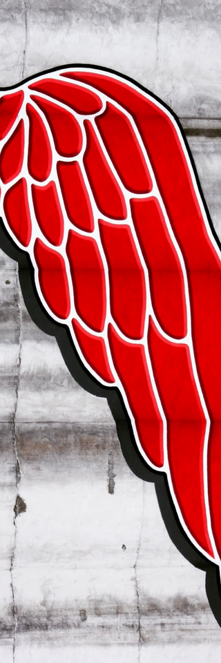 Bookmark: The Big Red Wing