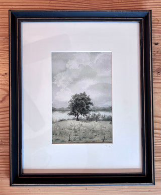 Framed print - Lone Tree