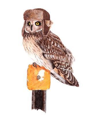 A2 No26 Owl