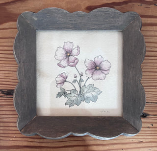 Painting - Anemone