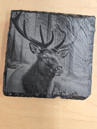 Elk slate coaster