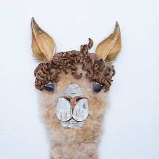 Llama "George" Nature Art Print