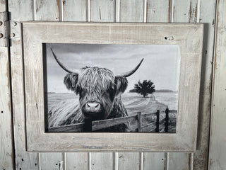 Steer Print