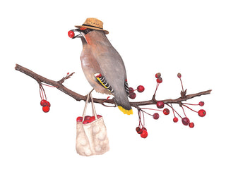 A2 No32 Waxwing