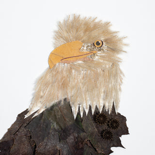 Eagle Nature Art Print