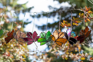 Maple Leaf