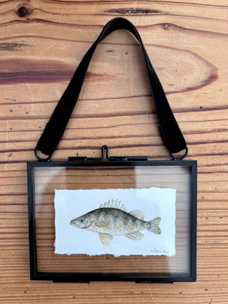 Print - Tiny fish, perch
