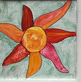 56rw