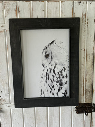 Owl  print