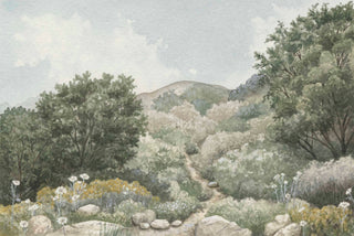 Print - Meadow Path
