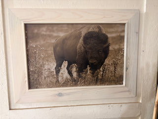 Buffalo Head
