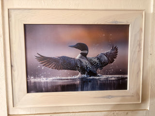 Loon print (LG)