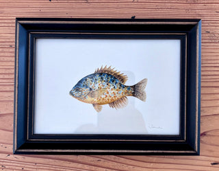 Framed print - Fish, pumpkin seed